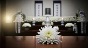 장례 절차 3일장 순서 가이드를 상징하는 하얀 국화와 차분한 빈소