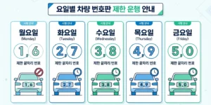 차량 5부제 요일별 번호판 끝자리 기준표 2026